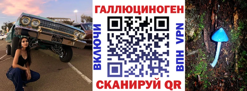 Псилоцибиновые грибы Psilocybe  Мензелинск 